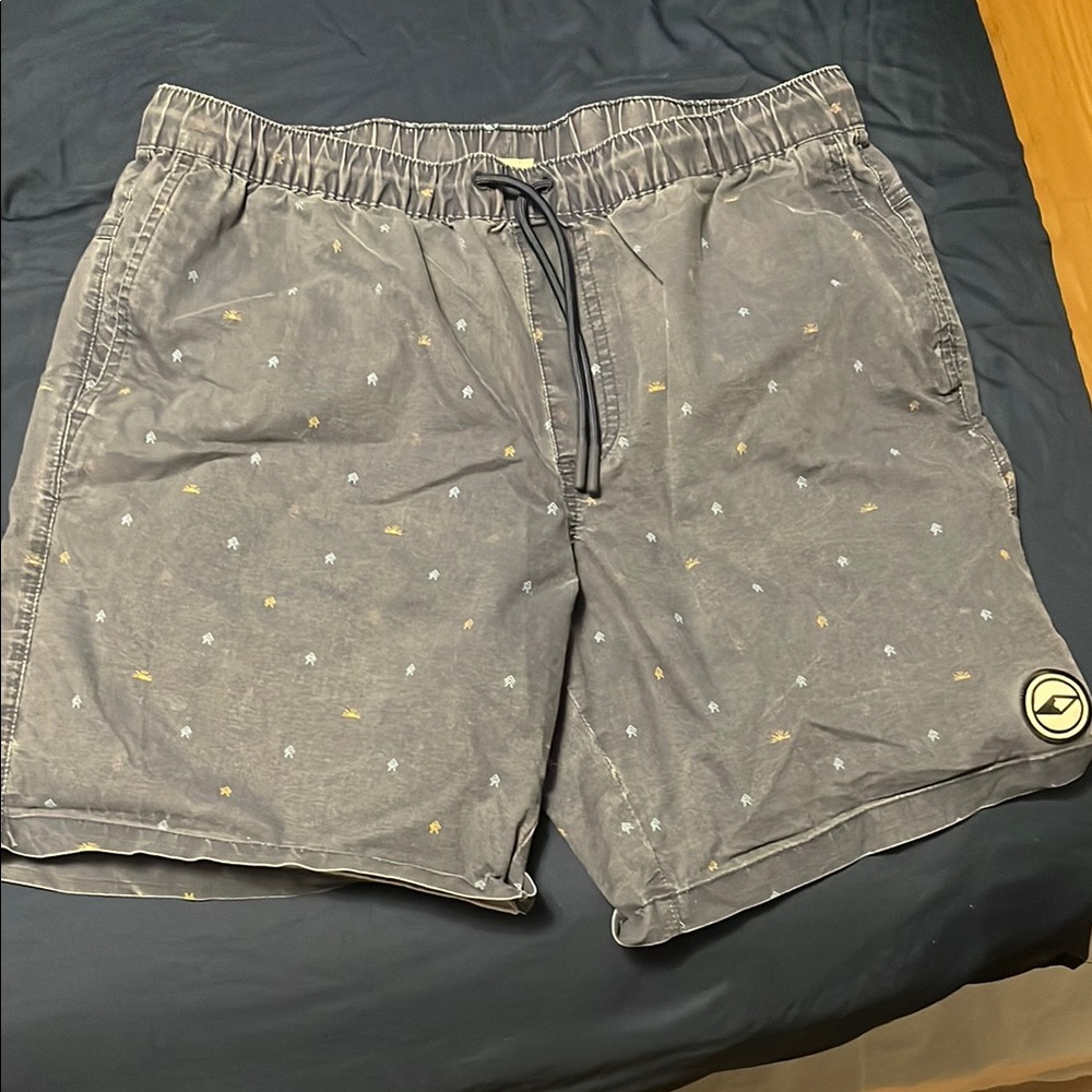 Gray Hybrid Shorts